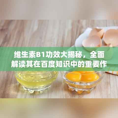 维生素B1功效大揭秘，全面解读其在百度知识中的重要作用与功效