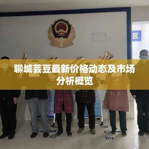 聊城芸豆最新价格动态及市场分析概览