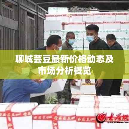 聊城芸豆最新价格动态及市场分析概览