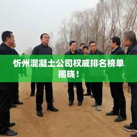 忻州混凝土公司权威排名榜单揭晓！