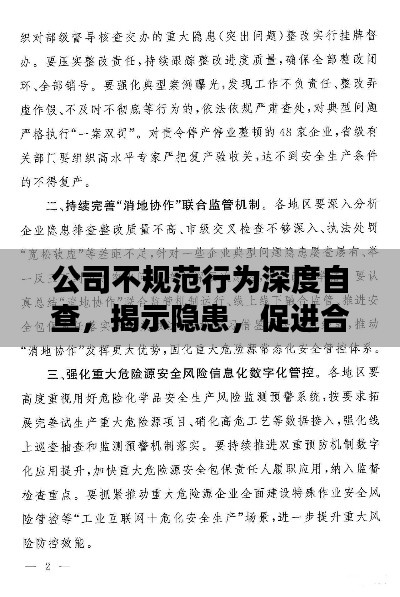 公司不规范行为深度自查,揭示隐患,促进合规发展