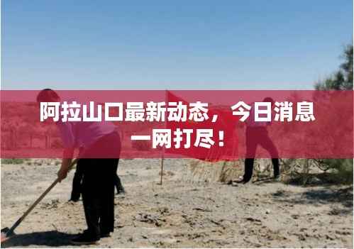 阿拉山口最新动态,今日消息一网打尽!