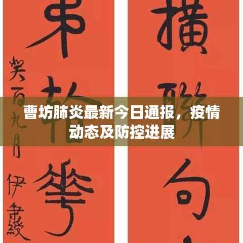 曹坊肺炎最新今日通报，疫情动态及防控进展