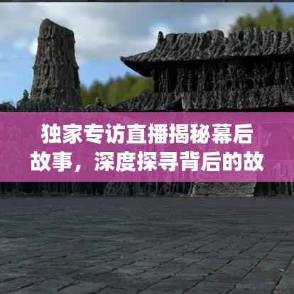 独家专访直播揭秘幕后故事，深度探寻背后的故事