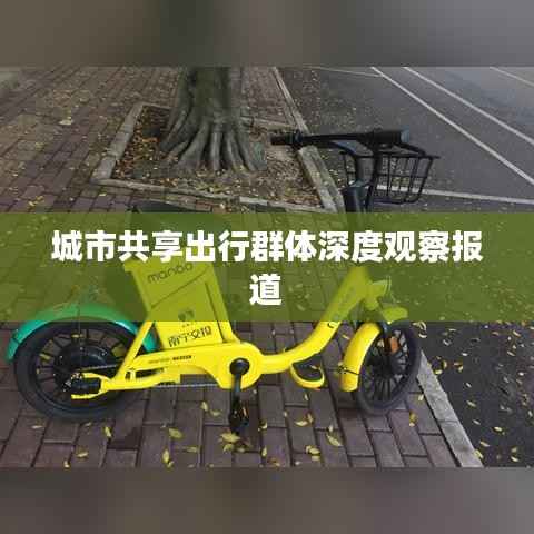 城市共享出行群体深度观察报道