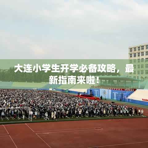 大连小学生开学必备攻略，最新指南来啦！