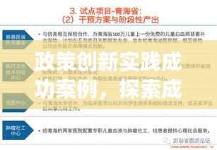 政策创新实践成功案例,探索成功之路,引领发展潮流