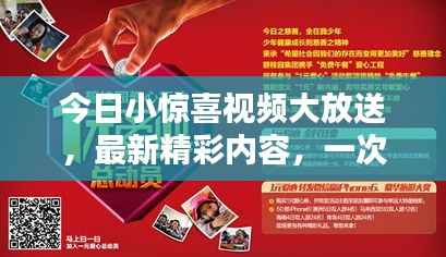 今日小惊喜视频大放送,最新精彩内容,一次看尽!