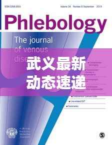 武义最新动态速递，今日热点一网打尽！