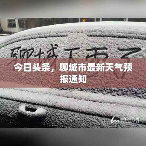 今日头条，聊城市最新天气预报通知