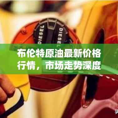 布伦特原油最新价格行情,市场走势深度分析与预测