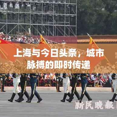 上海与今日头条，城市脉搏的即时传递