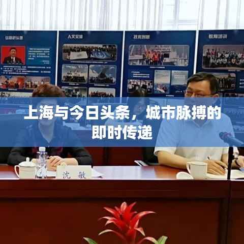 上海与今日头条,城市脉搏的即时传递