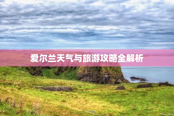 炊粱跨卫 第4页