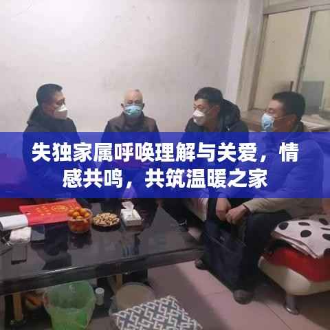 失独家属呼唤理解与关爱,情感共鸣,共筑温暖之家