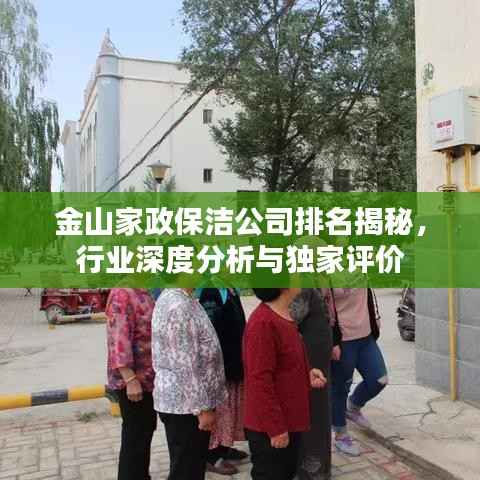 金山家政保洁公司排名揭秘,行业深度分析与独家评价