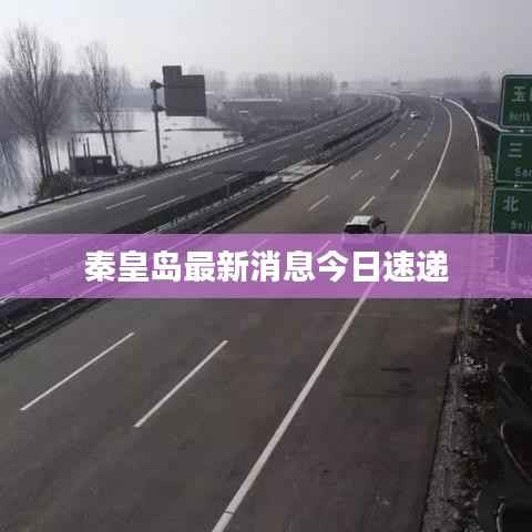 秦皇岛最新消息今日速递