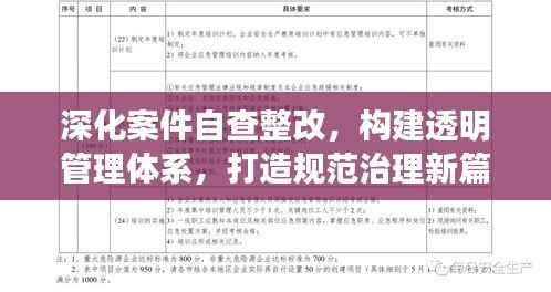 深化案件自查整改，构建透明管理体系，打造规范治理新篇章