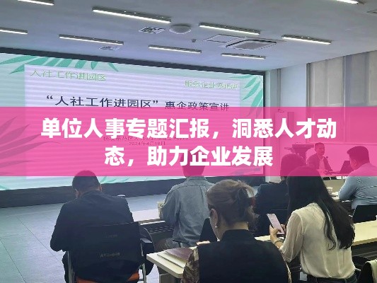单位人事专题汇报,洞悉人才动态,助力企业发展
