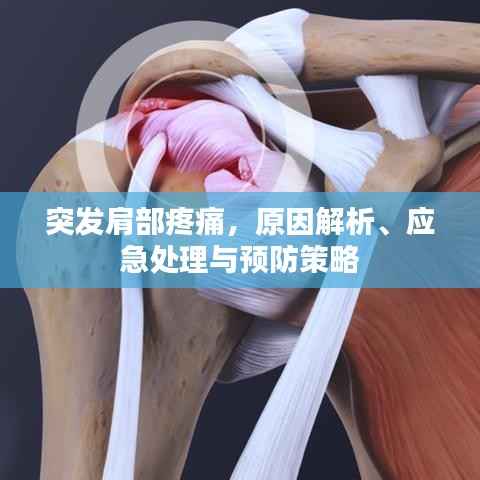 突发肩部疼痛,原因解析、应急处理与预防策略