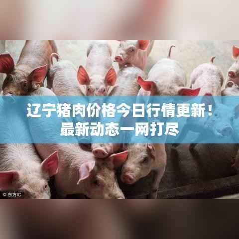 辽宁猪肉价格今日行情更新!最新动态一网打尽