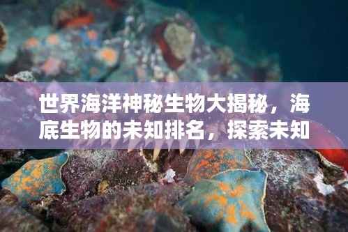 世界海洋神秘生物大揭秘,海底生物的未知排名,探索未知世界!