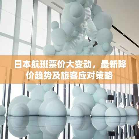 日本航班票价大变动，最新降价趋势及旅客应对策略