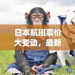 日本航班票价大变动,最新降价趋势及旅客应对策略