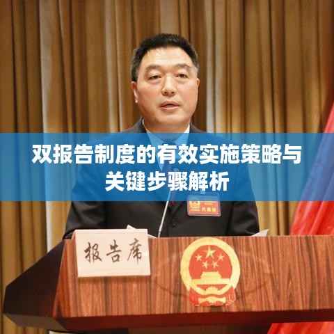 双报告制度的有效实施策略与关键步骤解析