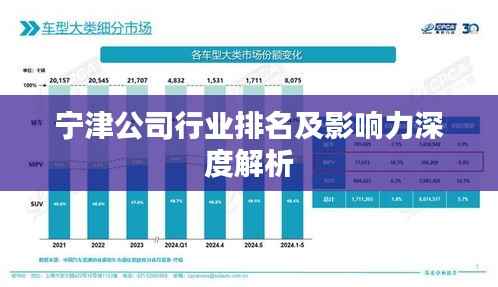 宁津公司行业排名及影响力深度解析