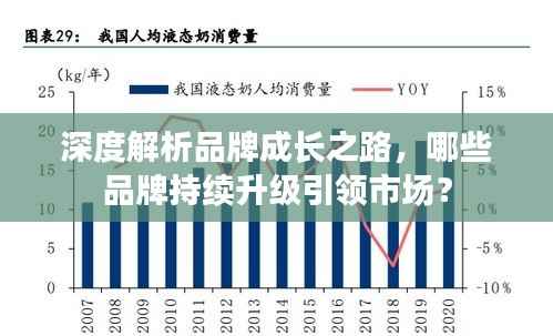 深度解析品牌成长之路,哪些品牌持续升级引领市场?
