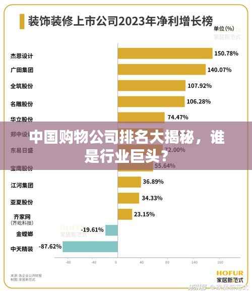中国购物公司排名大揭秘，谁是行业巨头？