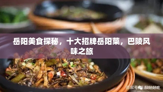 岳阳美食探秘，十大招牌岳阳菜，巴陵风味之旅