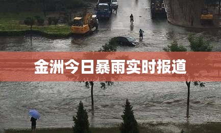 金洲今日暴雨实时报道