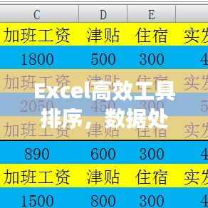 Excel高效工具排序,数据处理效率提升的关键秘诀