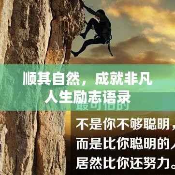 顺其自然,成就非凡人生励志语录