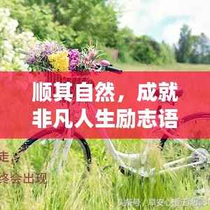 顺其自然,成就非凡人生励志语录