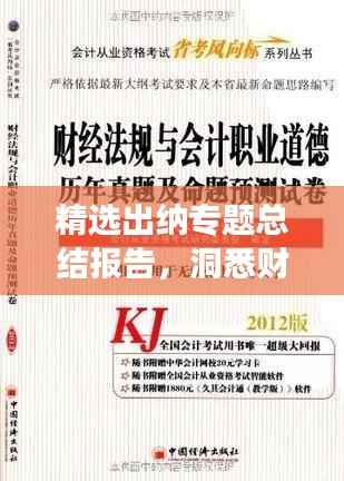精选出纳专题总结报告,洞悉财务实务,提升工作效率!