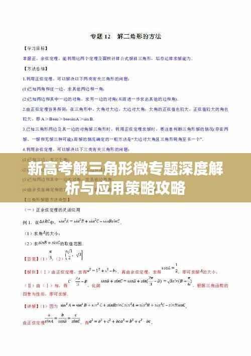 新高考解三角形微专题深度解析与应用策略攻略