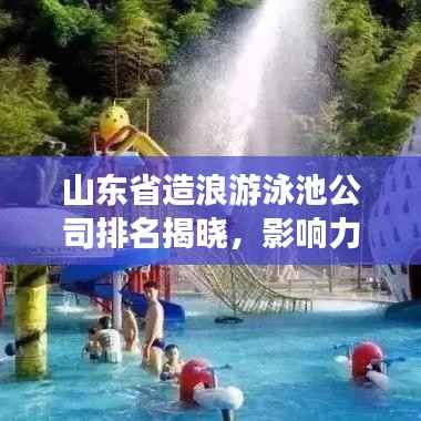 山东省造浪游泳池公司排名揭晓,影响力深度解析