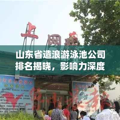 山东省造浪游泳池公司排名揭晓,影响力深度解析