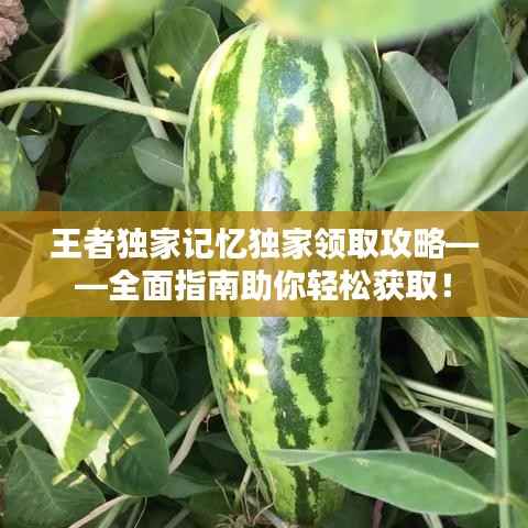 王者独家记忆独家领取攻略——全面指南助你轻松获取！