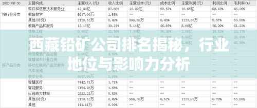 西藏铅矿公司排名揭秘，行业地位与影响力分析