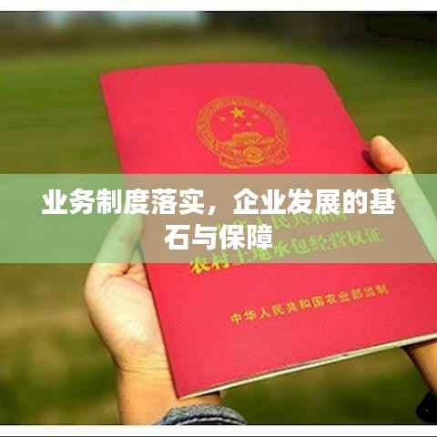 业务制度落实,企业发展的基石与保障