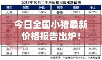 今日全国小猪最新价格报告出炉!