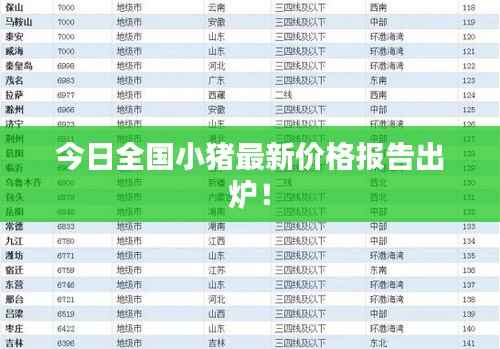 今日全国小猪最新价格报告出炉!