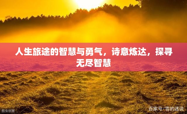 人生旅途的智慧与勇气,诗意炼达,探寻无尽智慧