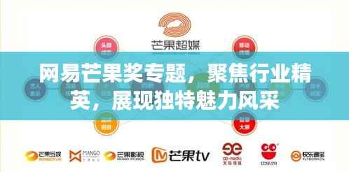 网易芒果奖专题,聚焦行业精英,展现独特魅力风采