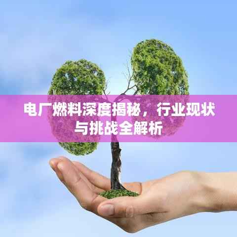 电厂燃料深度揭秘，行业现状与挑战全解析