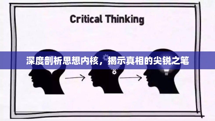 深度剖析思想内核,揭示真相的尖锐之笔
